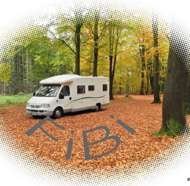 FiBi`s-Hjemmeside.dk