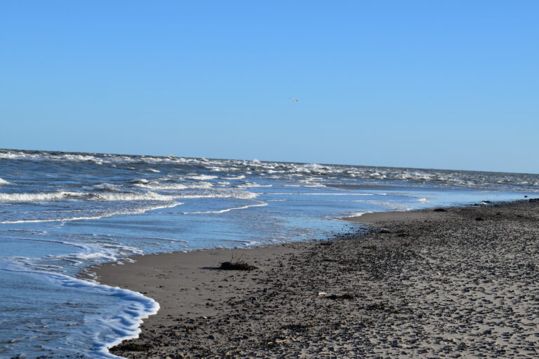 Grenen