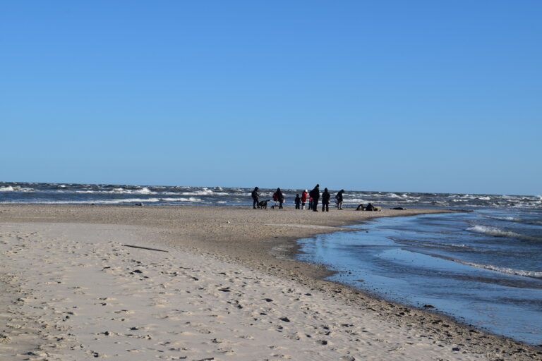 Grenen..