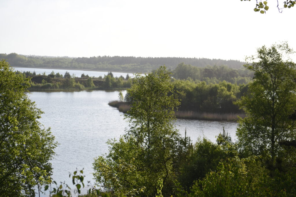 Brunkulslejre-Søby